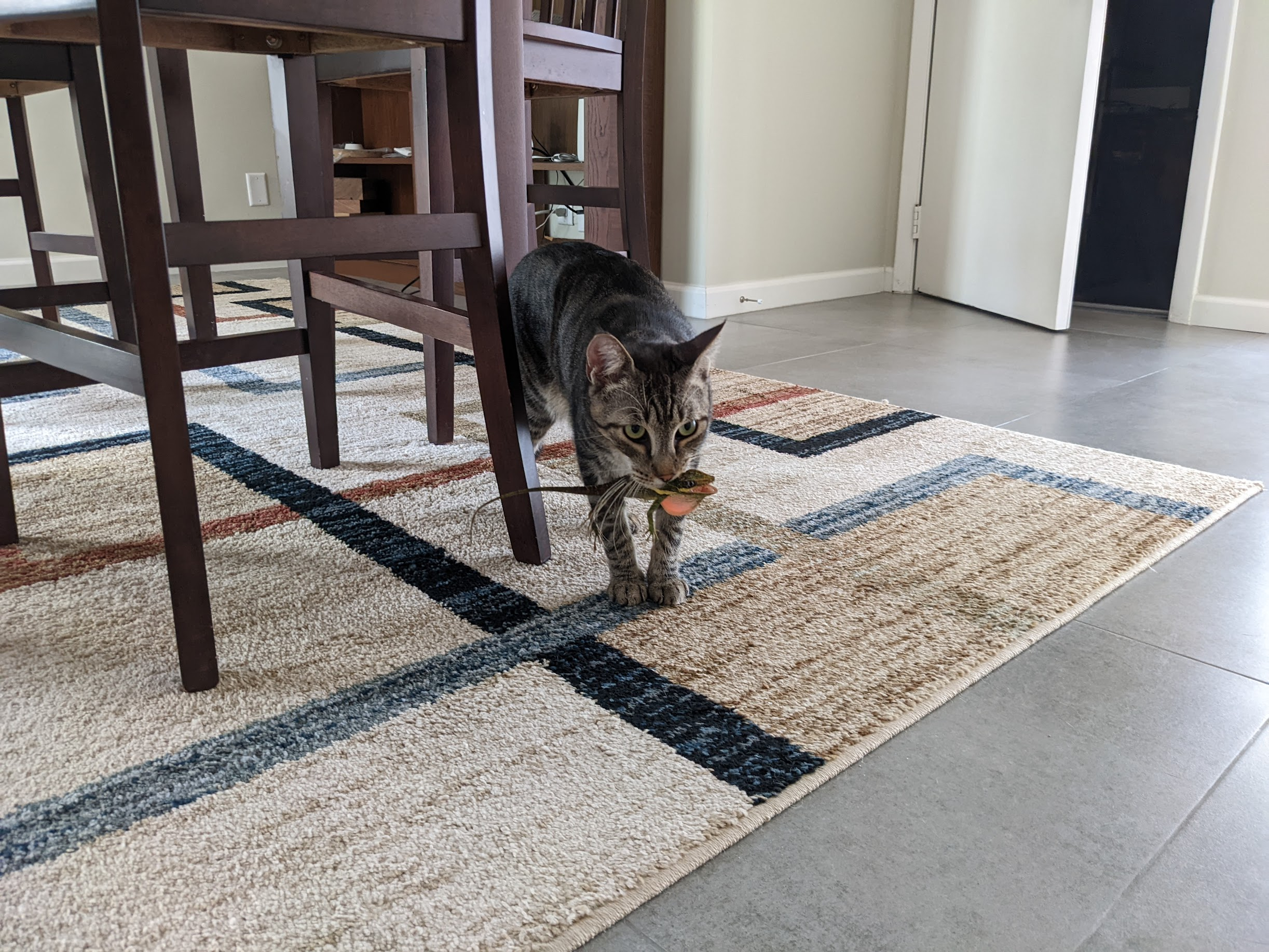 Leo